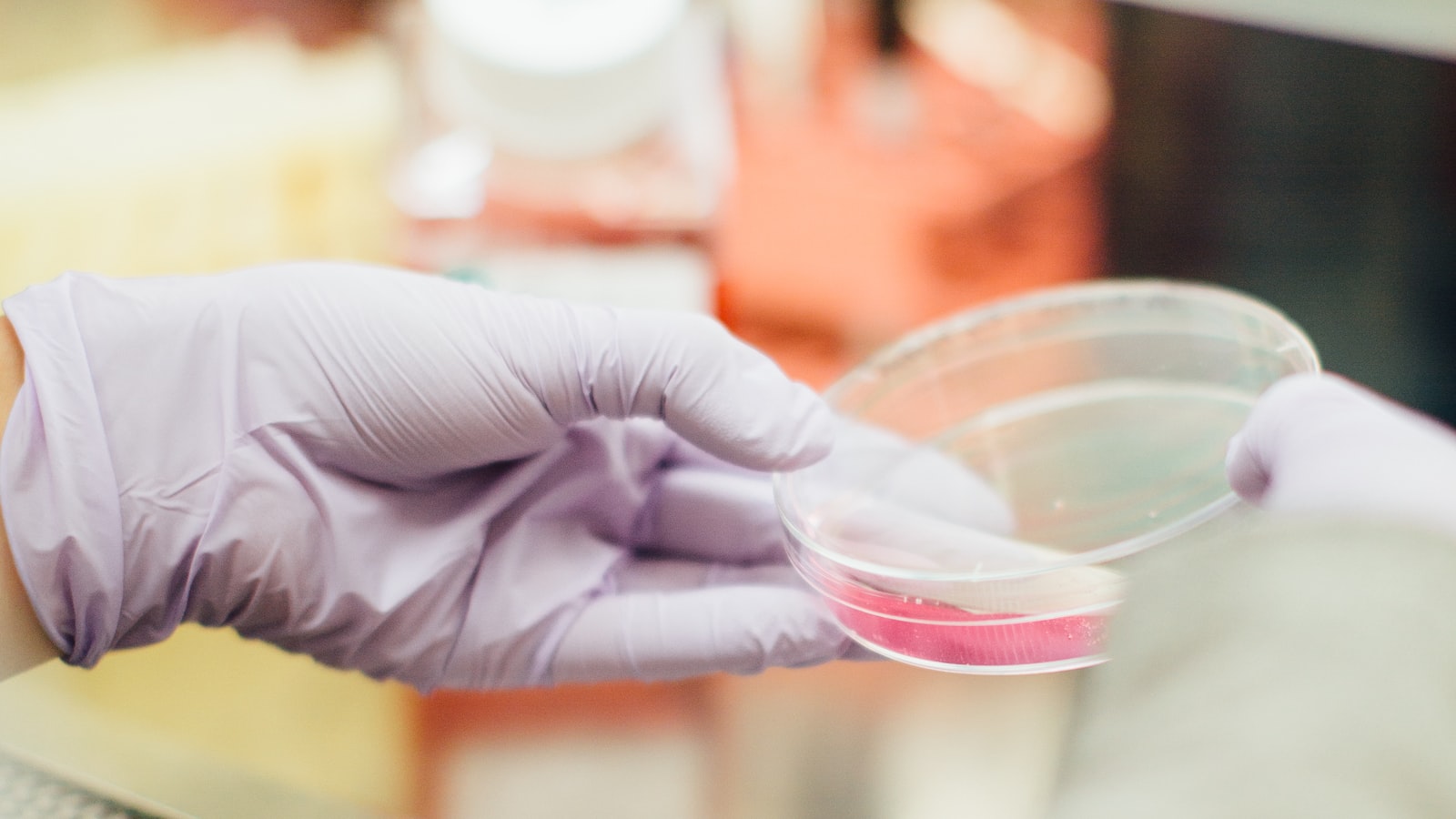 Custom Fragrance Development: From Brief to Production Formula