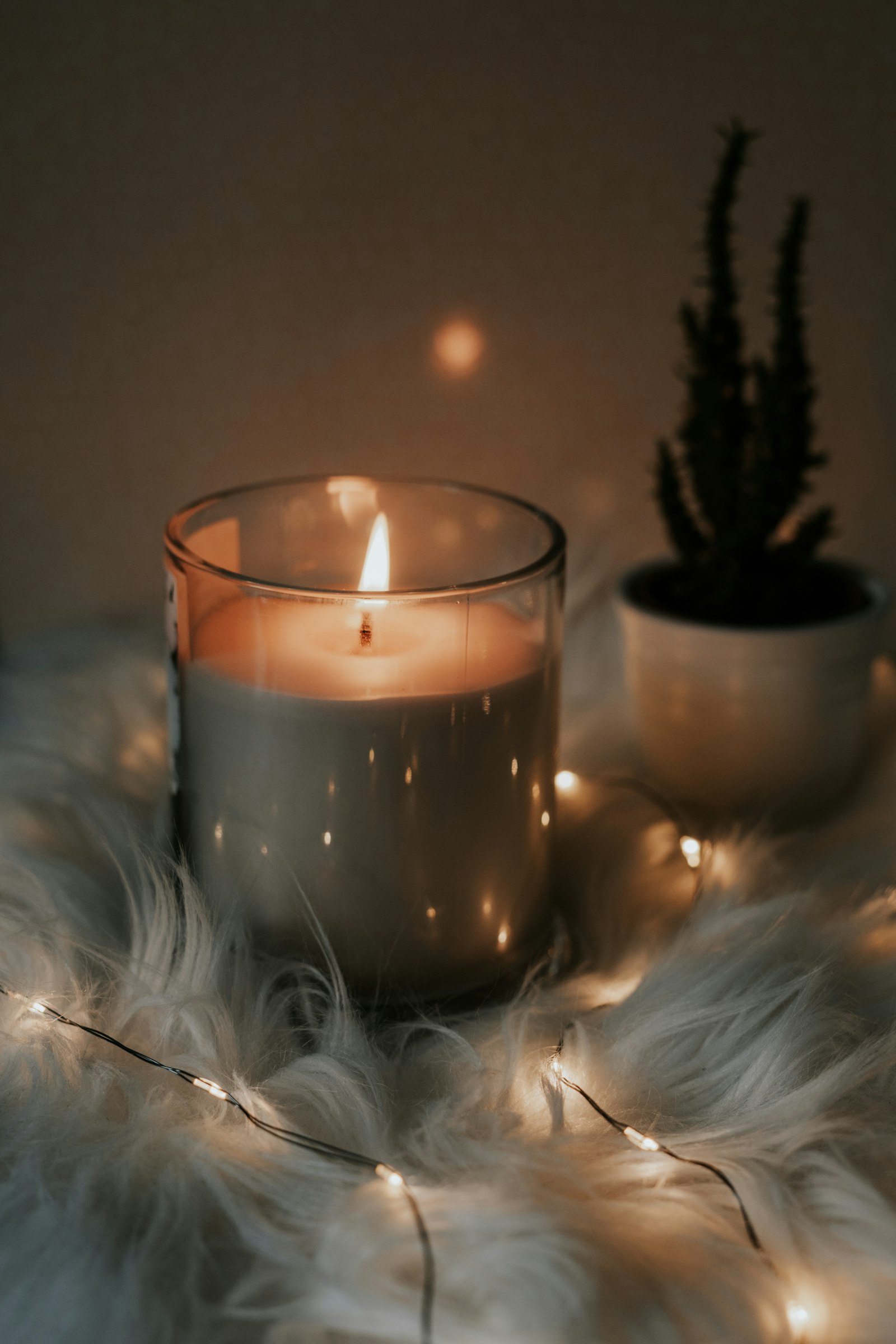 Soy Wax vs Paraffin vs Beeswax vs Coconut: Complete Candle Wax Comparison
