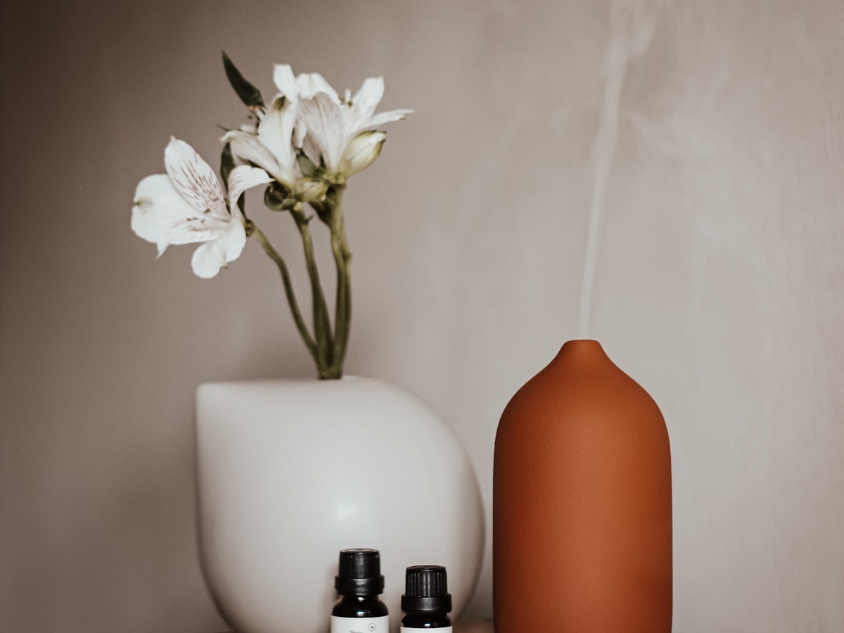 Aroma Stone (Plaster Diffuser)