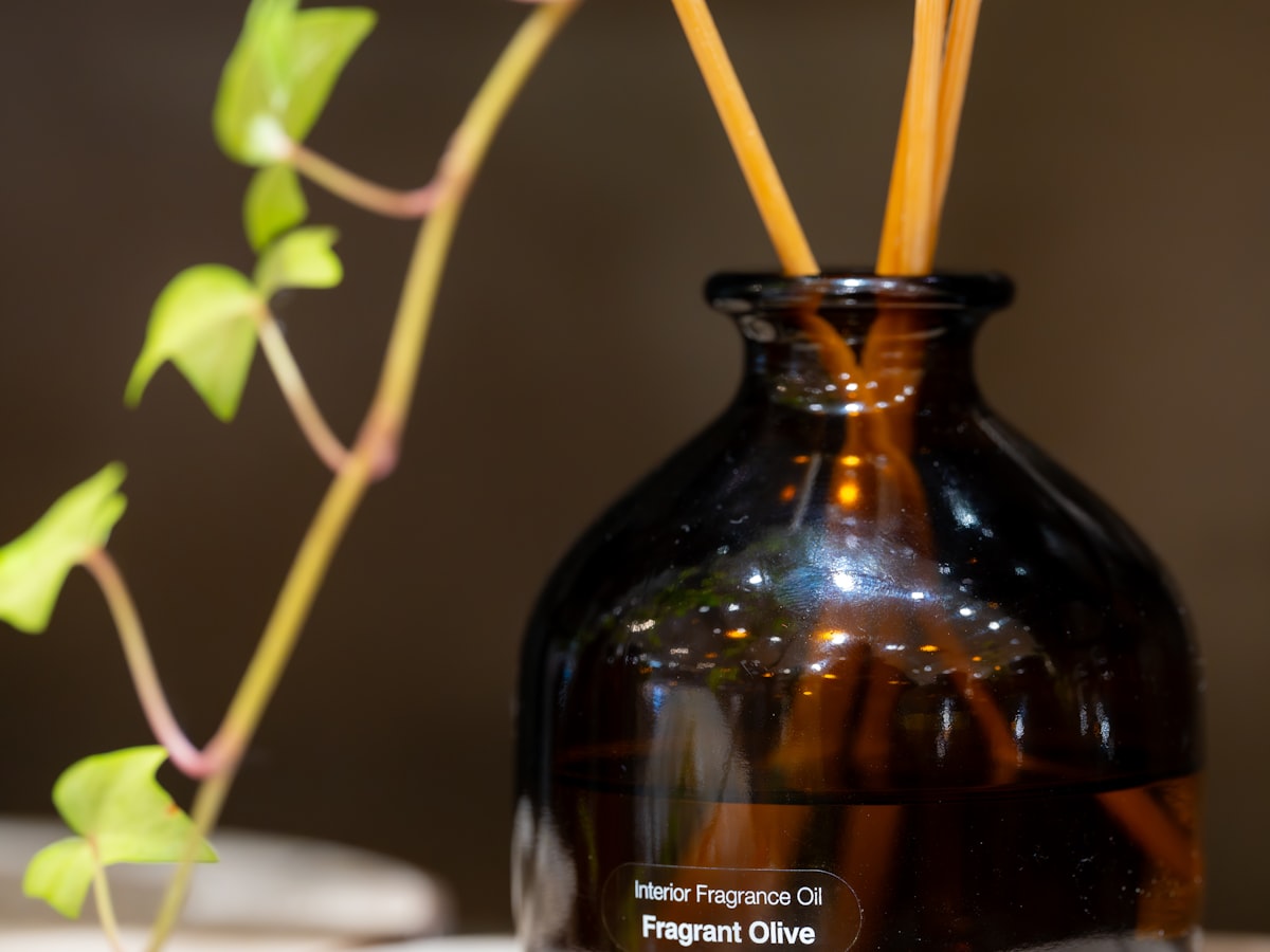 Mini Reed Diffuser (50 ml)