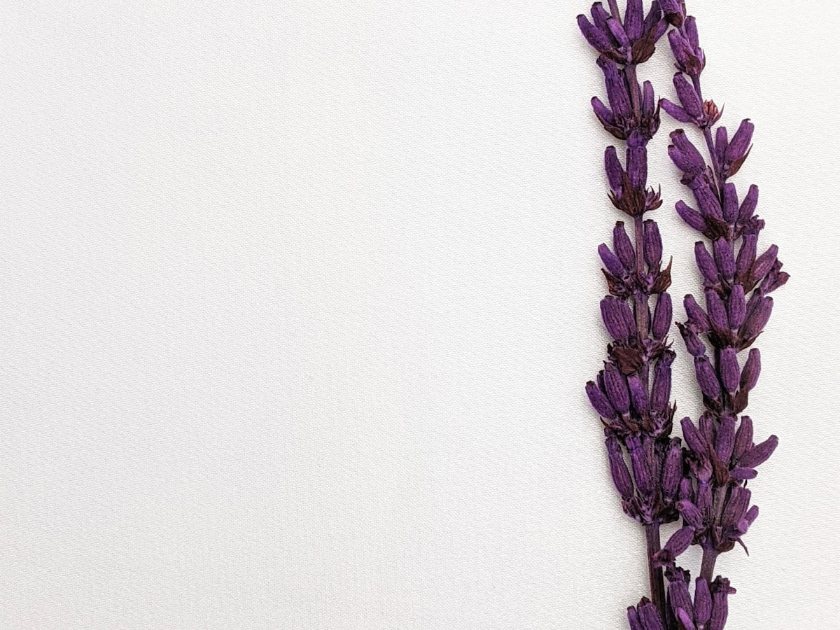 Palmarosa Essential Oil