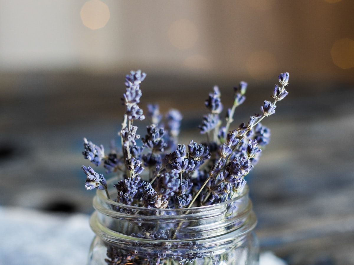 Thyme Essential Oil